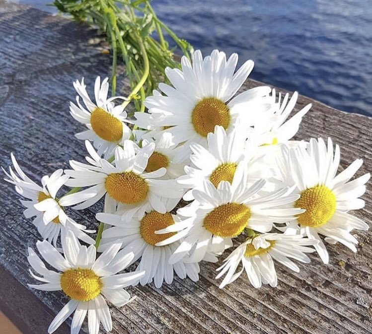 ranakamran03005🍀 tweet media