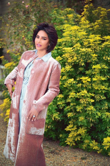 عرض الصورة على تويتر