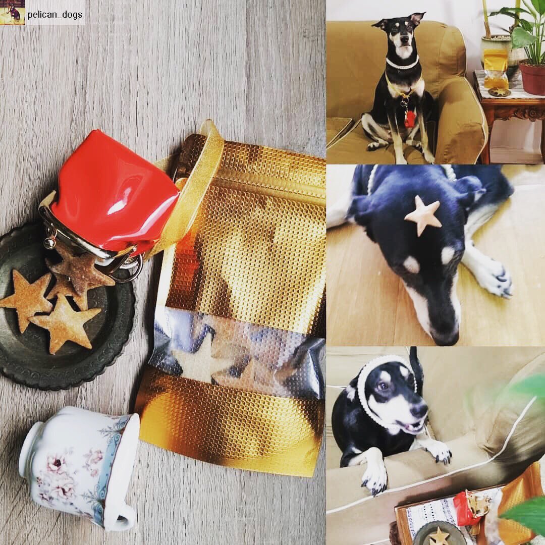 PanaderoPerro's tweet photo. Shadow and Peanut Butter w Honey Doggy treats El Perro Panadero #Homemade #DogTreats 09171706936 #perropanadero #homemade #dogtreats #dogs #pets #dogsofthephilippines #dogsofinstagram #phdogs #dogsph #dogsworld #dogslife #baking #cravings #busog #petsupplies 🇵🇭 https://t.co/0n1hyZ5fpI