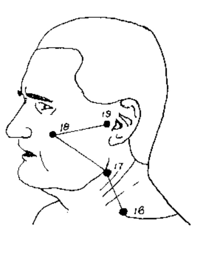 Pressure Points On The Body Martial Arts