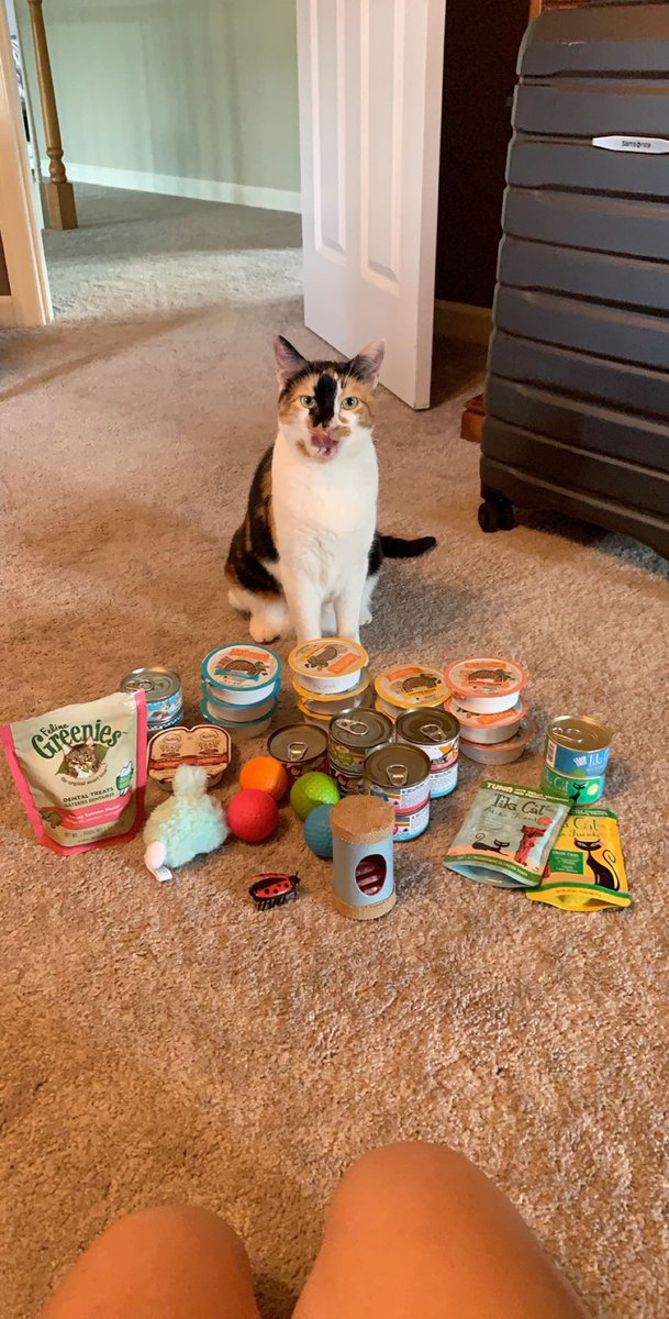 ladyginger14's tweet photo. A dragon and her hoard https://t.co/hKLeANNmGF