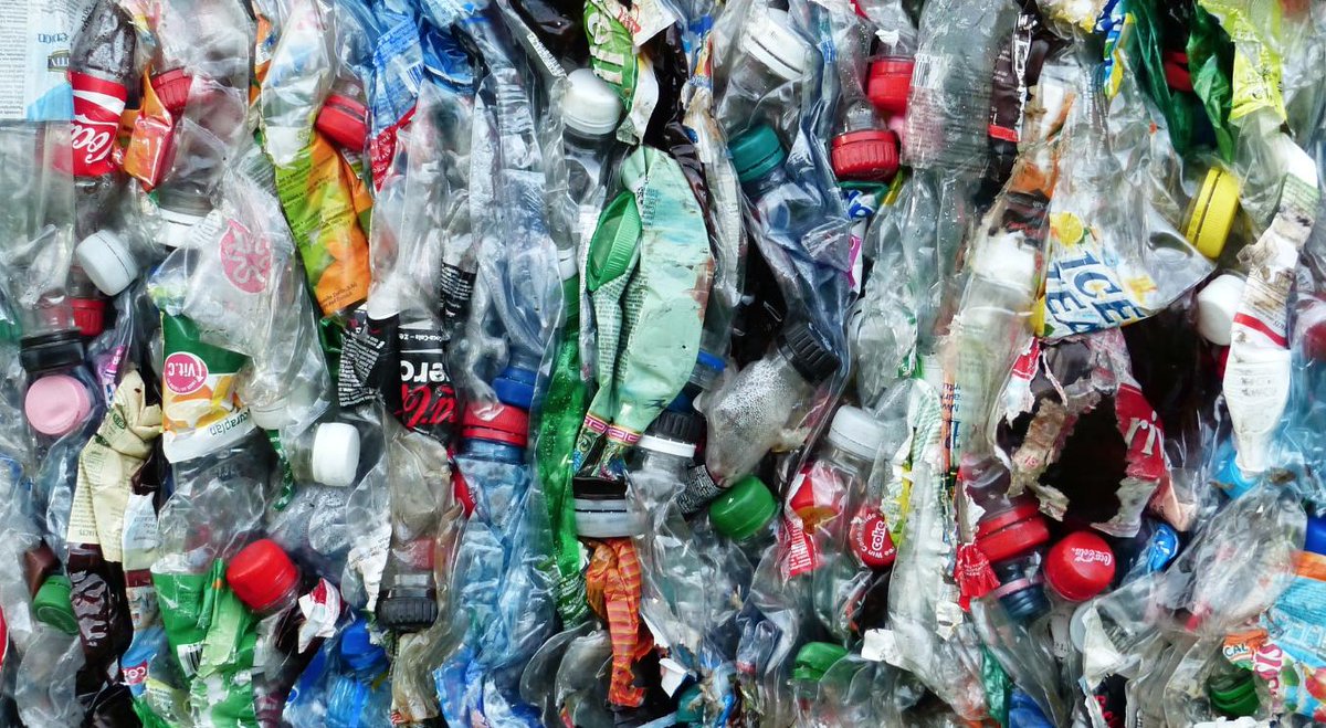 Plastic Pollutes tweet media