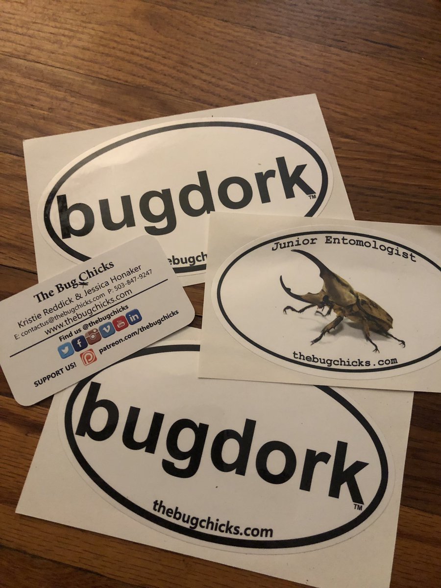 BotanyBrooke's tweet photo. Got my stickers from @TheBugChicks. Bought them to be gifts but having a hard time letting go! #bugnerd #plantnerd #plerd https://t.co/v2ZuOGelqu