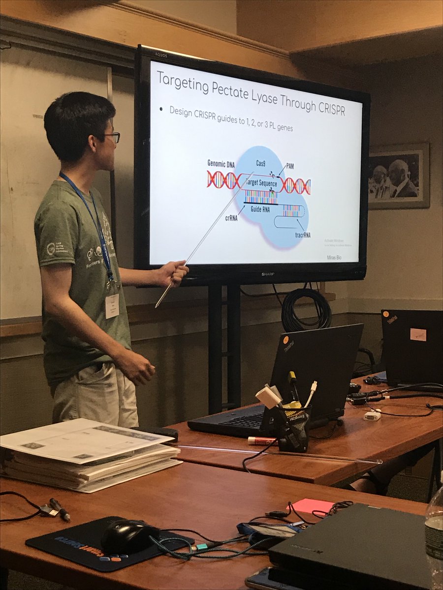 CSHLplantcourse's tweet photo. Increasing Suberin to promote drought tolerance, slowing over-ripening of strawberries, and deletion studies of specific enhancer regions using HDR are just a few ideas from #FTPS19 students during tonight’s session with Dan Voytas. @RaphaellaHull @atborowsky https://t.co/Vc7lKyUlLH