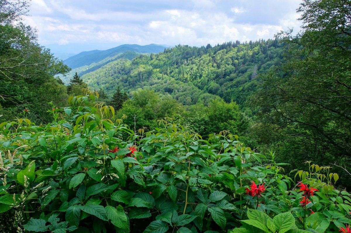 TravelGburg's tweet photo. Retweet if you need a trip to the mountains right now. https://t.co/6QAFHYL06K