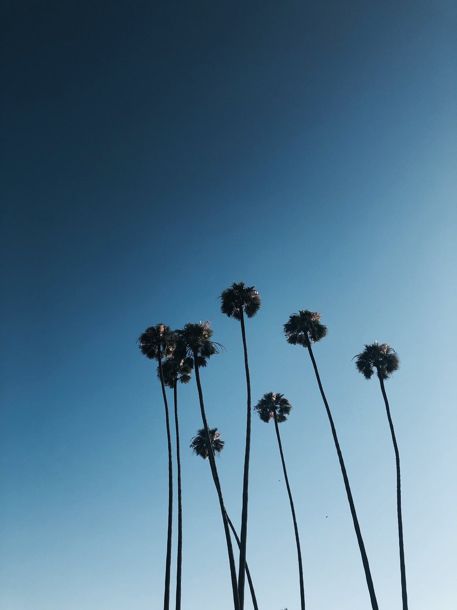 bellasalamode's tweet photo. Hot ℉

#weekend #summer #sunday #heatwave #losangeles https://t.co/tQSqdURZQf