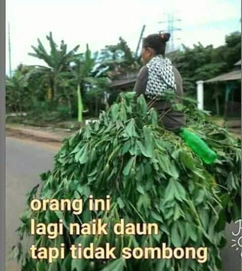 BoneraDev's tweet image. 