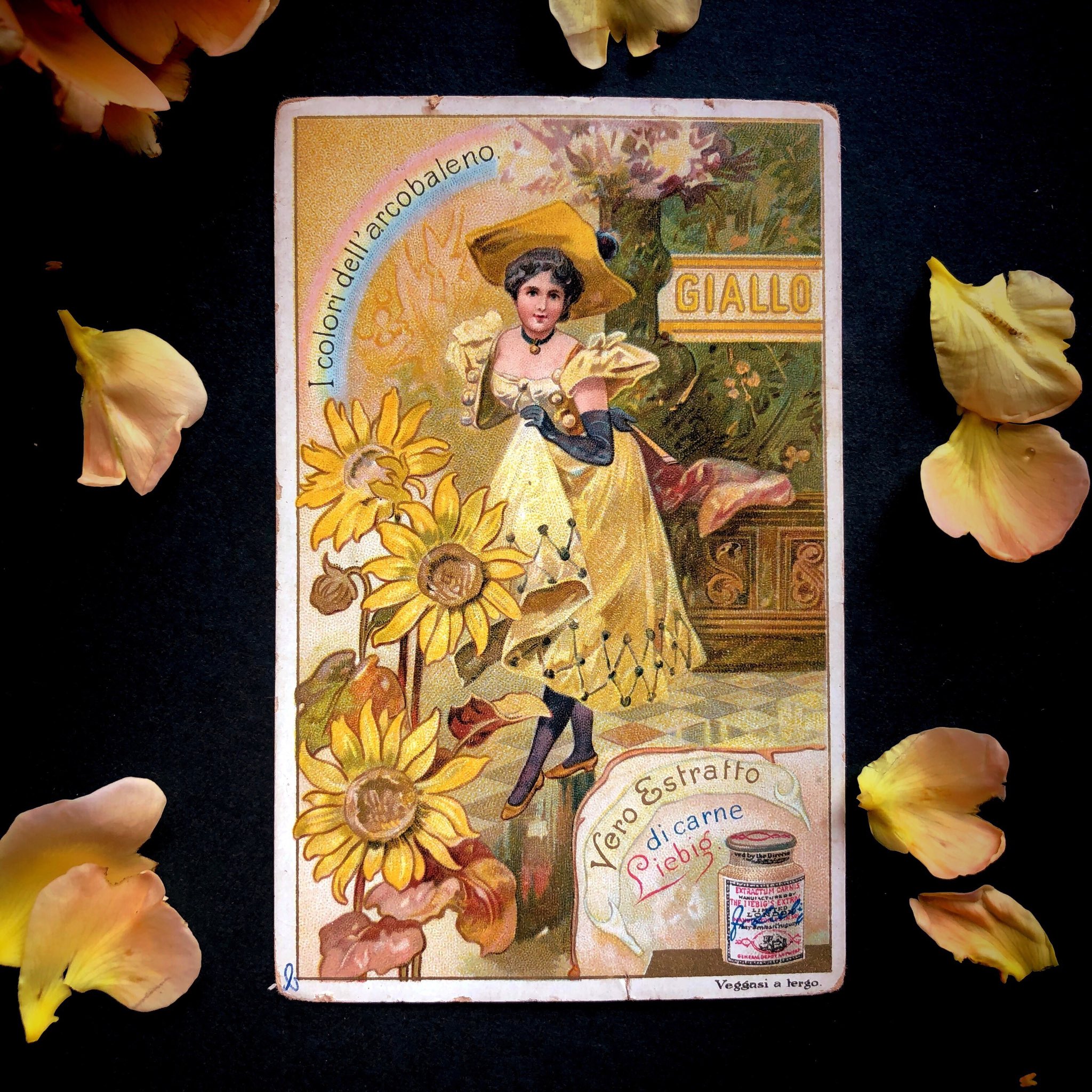 メルキュール骨董店 Sur Twitter リービッヒカード 虹の色 はいかがでしょう スープの素のオマケのカードで 多彩なバリエーションがあります こちらはイタリア語 で虹の色が擬人化されています アズールは人魚で 薔薇色は女王様 緑は可憐な少女で黄色は