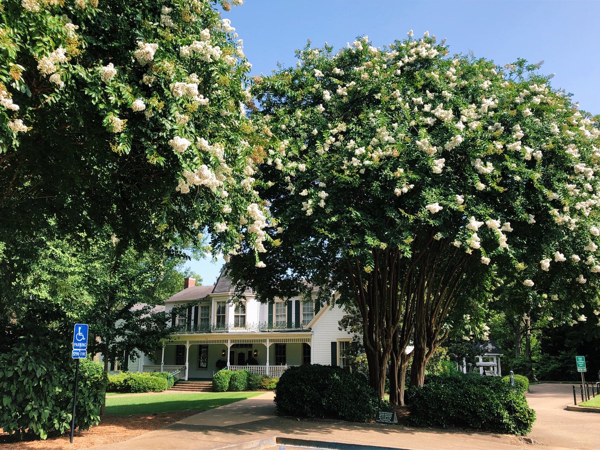 ouumc's tweet photo. Ole Miss is home to beautiful buildings that are made even more beautiful by the creation that surrounds them! The Brandt Memory House is one of the first buildings you see as you enter campus and it’s always worth marveling at.
Where will you #encountercreation this week? https://t.co/JZqDqn4VlC