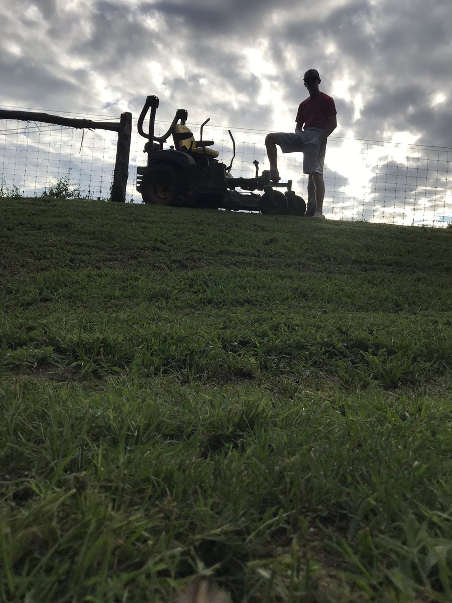 Ben Phillips tweet media