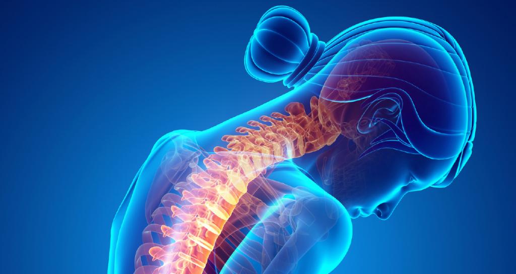 "If there’s one thing I want people to know about grief, it’s how awful it can make your body feel." What a range of studies reveals about the physical symptoms of grief, from inflammation to a very real condition known as "broken heart syndrome": wb.md/2YXfLeB