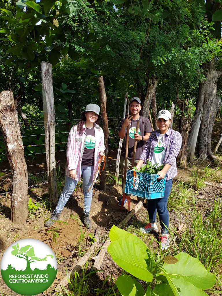 refcapanama's tweet photo. Nuestros Jóvenes son el Motor que Mueve a Centroamérica en la Siembra Simultánea de Árboles 🤲 🌱 🤲/ Momento Cumbre Junio, 2019 / Coordinación Provincial de Chiriquí
#centroamerica #refca #panama #Juventud https://t.co/E5JrSsTJv1