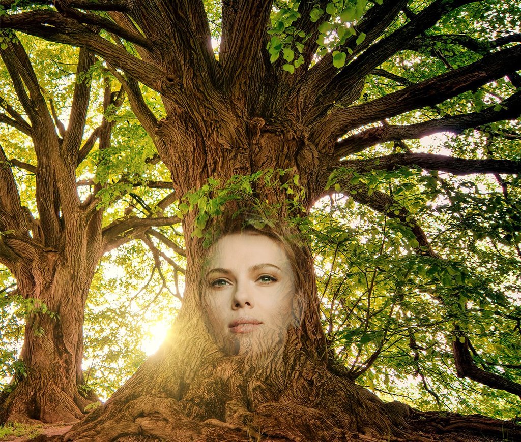 AsianSocialNet's tweet image. #BeTheTree