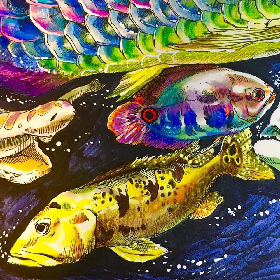 ooazamukae's tweet photo. ご依頼作品紹介
#古代魚 https://t.co/6BDfU0Sx7T