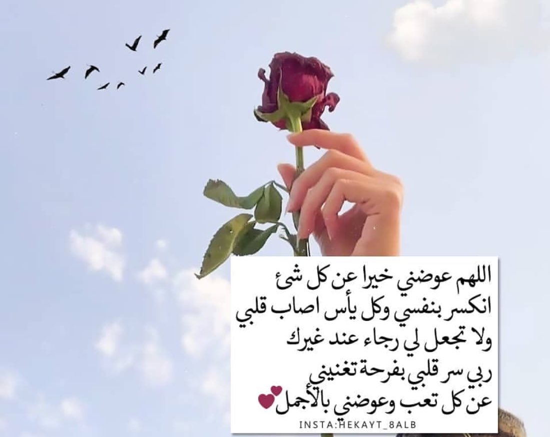 موضي. (@modhi_mi) on Twitter photo 