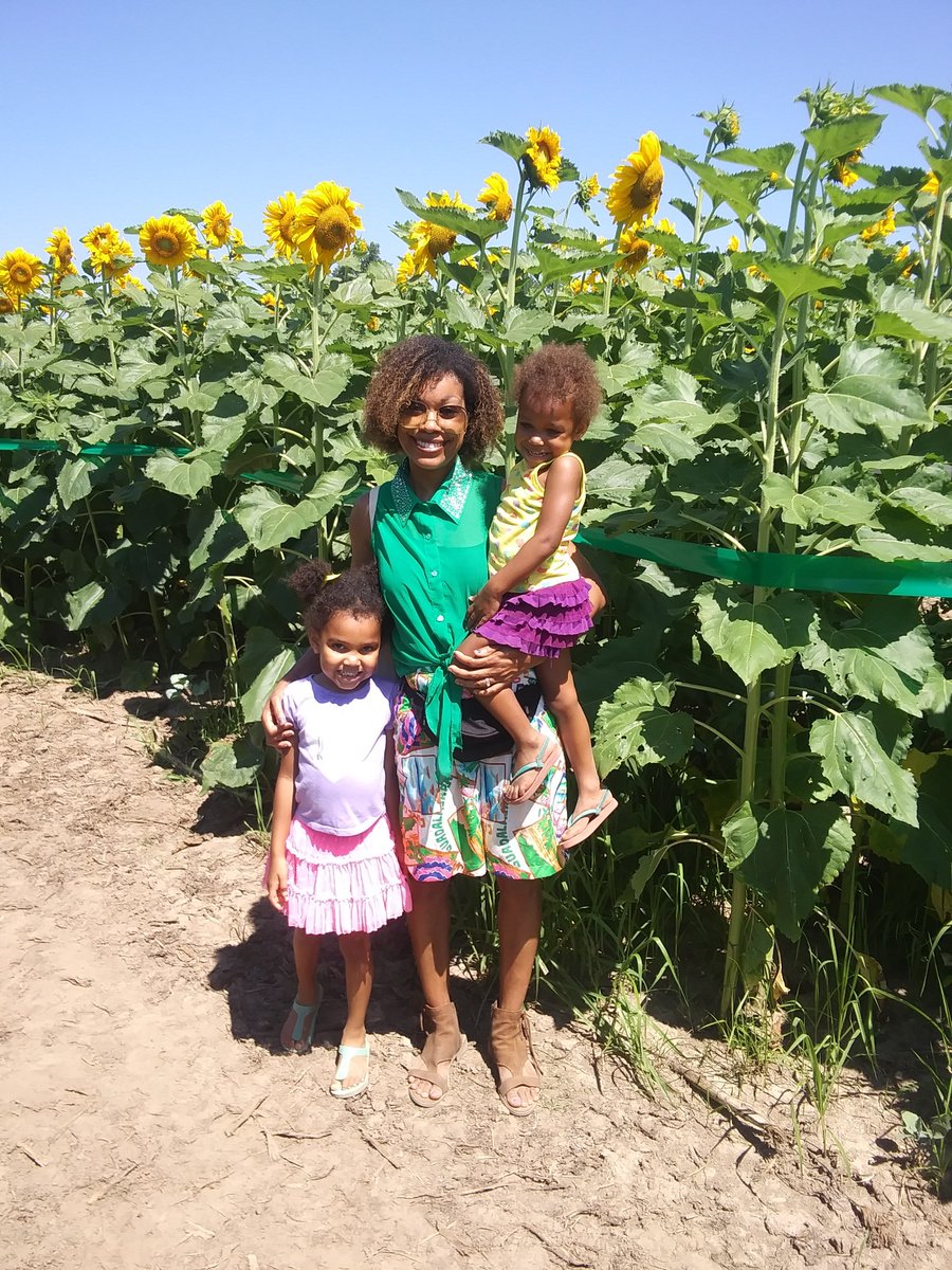 RubyZipper's tweet photo. My inner farm girl is loving the peach-picking and sunflowers at @EckertFarms. Check it out! #sunflowermaze #funinstl #familyfun https://t.co/uGSpdmCJgF