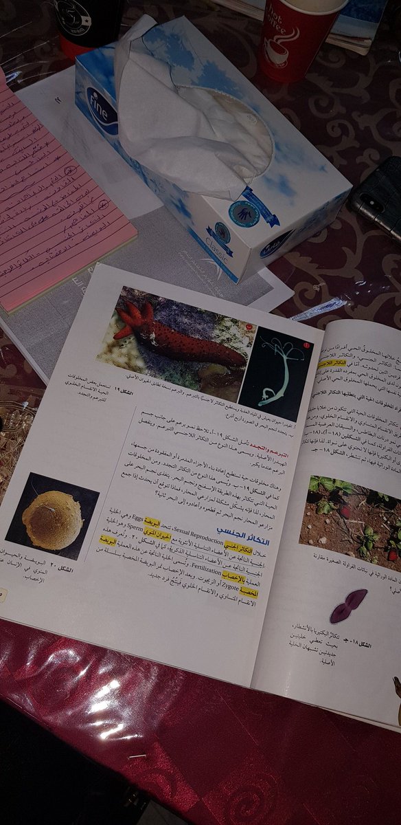Dr. Atyat tweet media