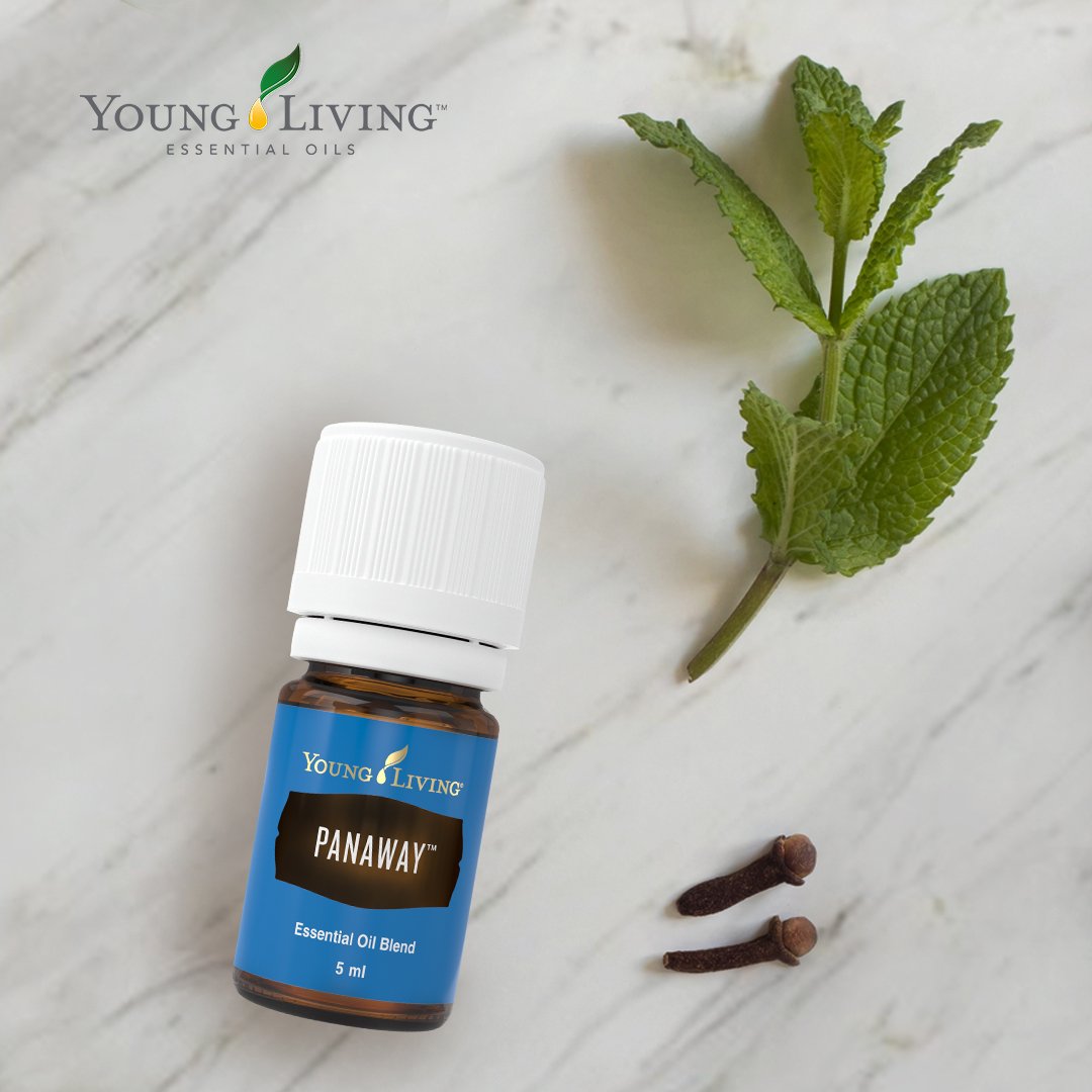 yleoeurope's tweet photo. PanAway has a stimulating aroma & combines #Wintergreen, #Helichrysum, #Clove & #Peppermint #EssentialOils. Mix with Young Living V-6® & apply after exercise, or to the neck & back anytime for a soothing, stimulating aromatic experience.
https://t.co/ziUBN8gGx5
#panaway https://t.co/hnPzE9pOTB
