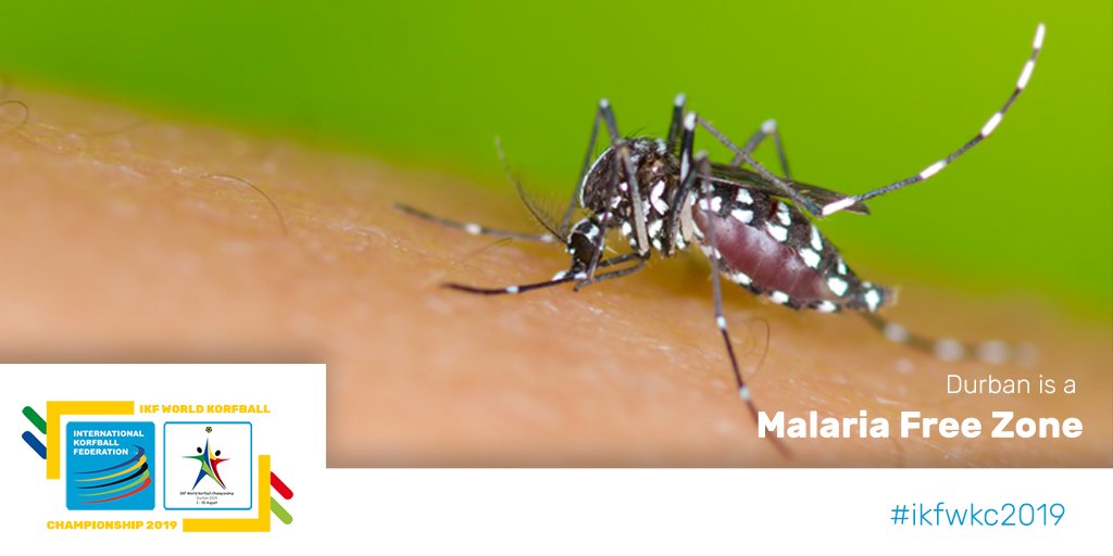 Durban is a Malaria FREE Zone however, as the months get warmer, the Mosquitos do get bigger &amp; hungrier. 

Be sure to pack your bug spray or pick some up in South Africa. Mosquito bands are also widely available in SA &amp; very effective in repelling mossies!

#IKFWKC2019 #korfball