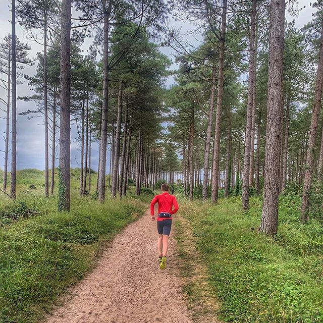 pilcher85's tweet photo. Checking out the sand dunes of Newborough Beach in Anglesey 🤟 🏴󠁧󠁢󠁷󠁬󠁳󠁿 #wales #anglesey #newboroughbeach #explorer https://t.co/1P1AGN3inC https://t.co/m6bgioSEkM
