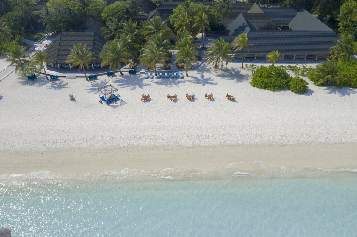 holiday_mv's tweet photo. Get some snacks from the coffee shop or cocktails from the bar and enjoy them right on the beach

#maldives #holidayislandresort #villahotels https://t.co/Zne1BimoIt
