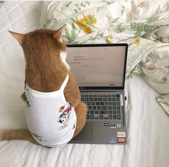 Back to the grind stone....