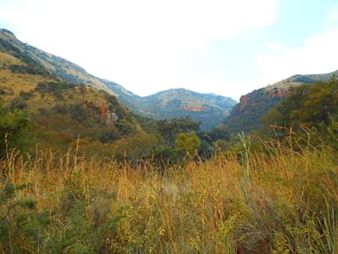 TheElands's tweet image. Come Hiking in Mpumalanga #SelfCateringAccommodation #WatervalOnder #AwesomeScenery #RockyDrift