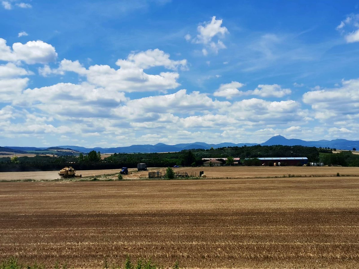 Blandine Bonière tweet media