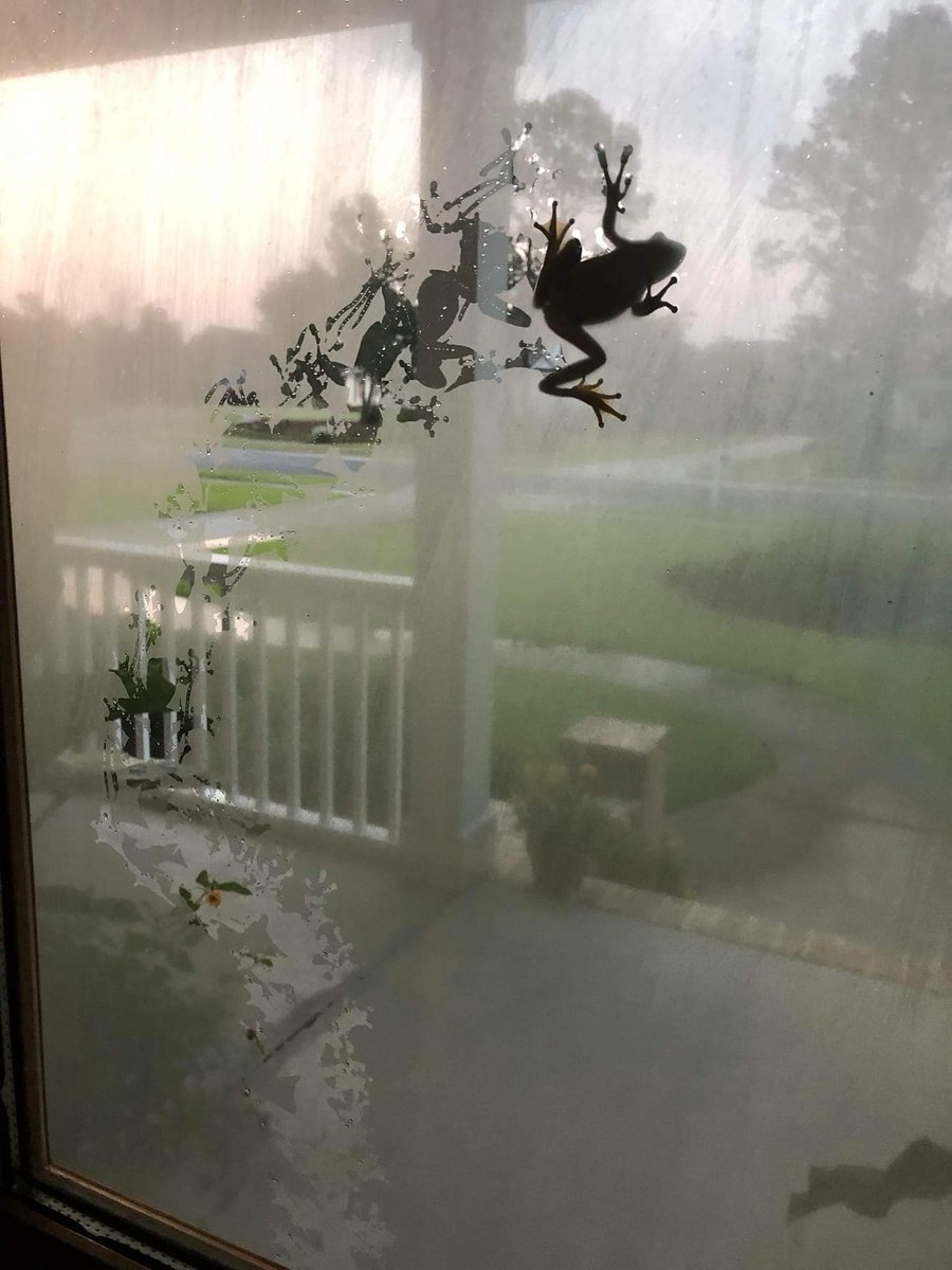 marisel_exe's tweet image. 