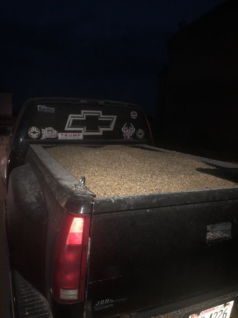 alexagaj's tweet photo. When one of the grain bins in town goes down and the corn is free for the taking....... #gotcorn https://t.co/sDl65PaE6t