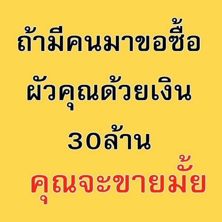 meaw.8588😻 บุญกึ่มรักในหลวงและสามี😍 tweet media