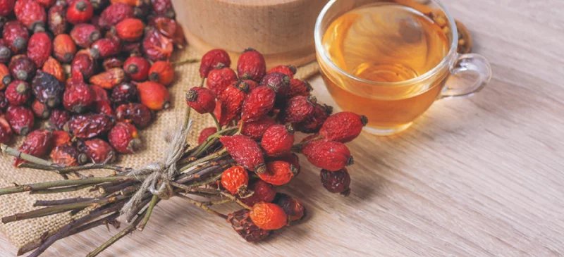 TheOilLover's tweet photo. Rose essential oil typically comes from the damask rose (Rosa damascena) plant and it takes around 10,000 rose petals to make one pound of oil, which is why it’s one of the more expensive essential oils.

Visit Here: https://t.co/4AoGgCHuf4

#doterra #ROSE #EssentialOil https://t.co/VscQE0vfZ5