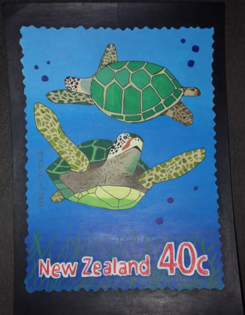 Jesssart1's tweet photo. I finally finished the New Zealand turtle stamp collection 🐢🇳🇿. Which one is your favorite? let me know in the comments. #turtles #stamps #newzealand #savetheturtles https://t.co/7hQxiFFl8R