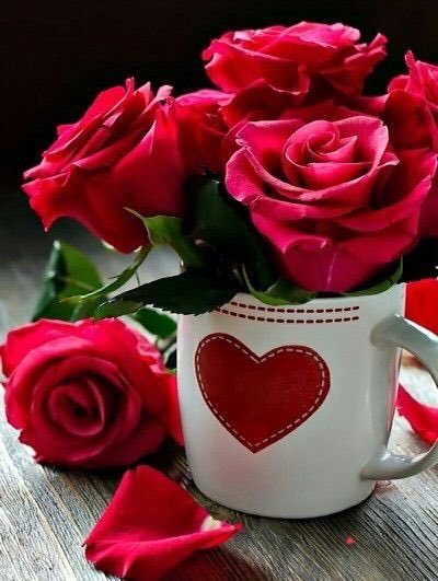 🇧🇩🇵🇭🇸🇦 Rj ABIR 🇧🇩🇧🇩🇧🇩 tweet media