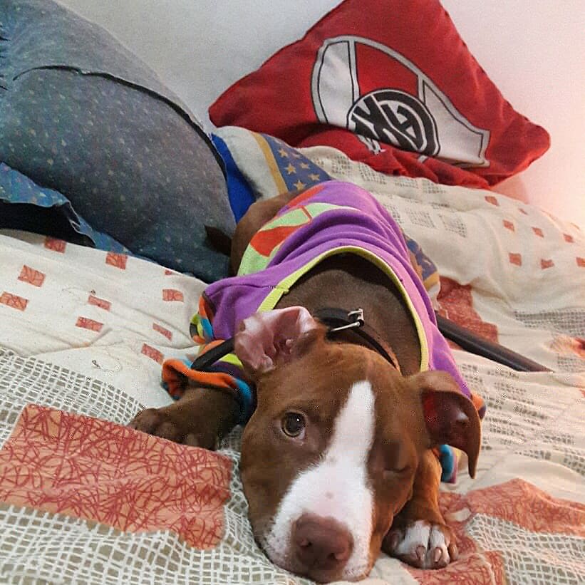 Franicrz's tweet photo. ya que se volvió famosa les cuento que también sabe guiñar el ojo nala https://t.co/5uqYWxRW1V