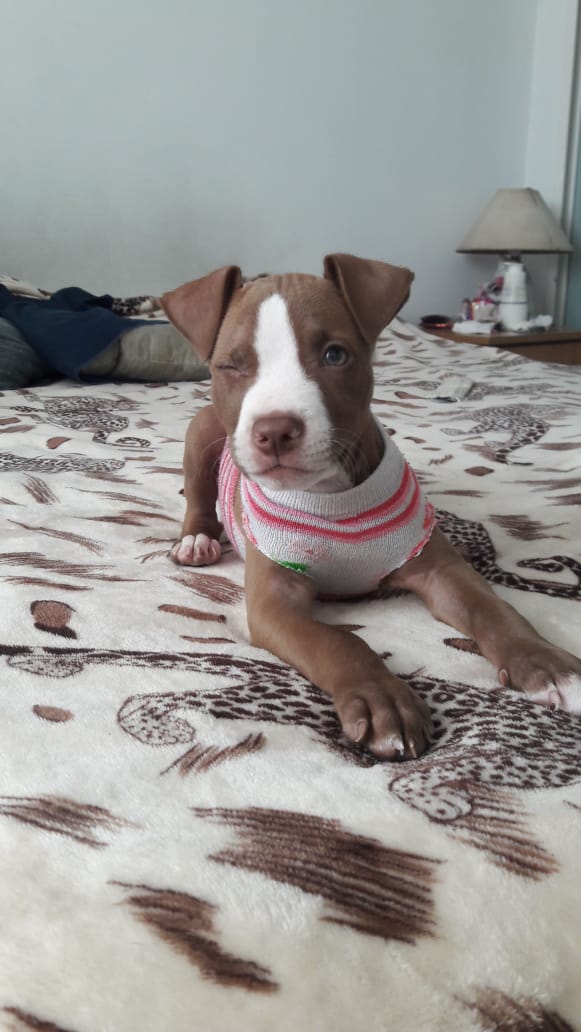 Franicrz's tweet photo. ya que se volvió famosa les cuento que también sabe guiñar el ojo nala https://t.co/5uqYWxRW1V