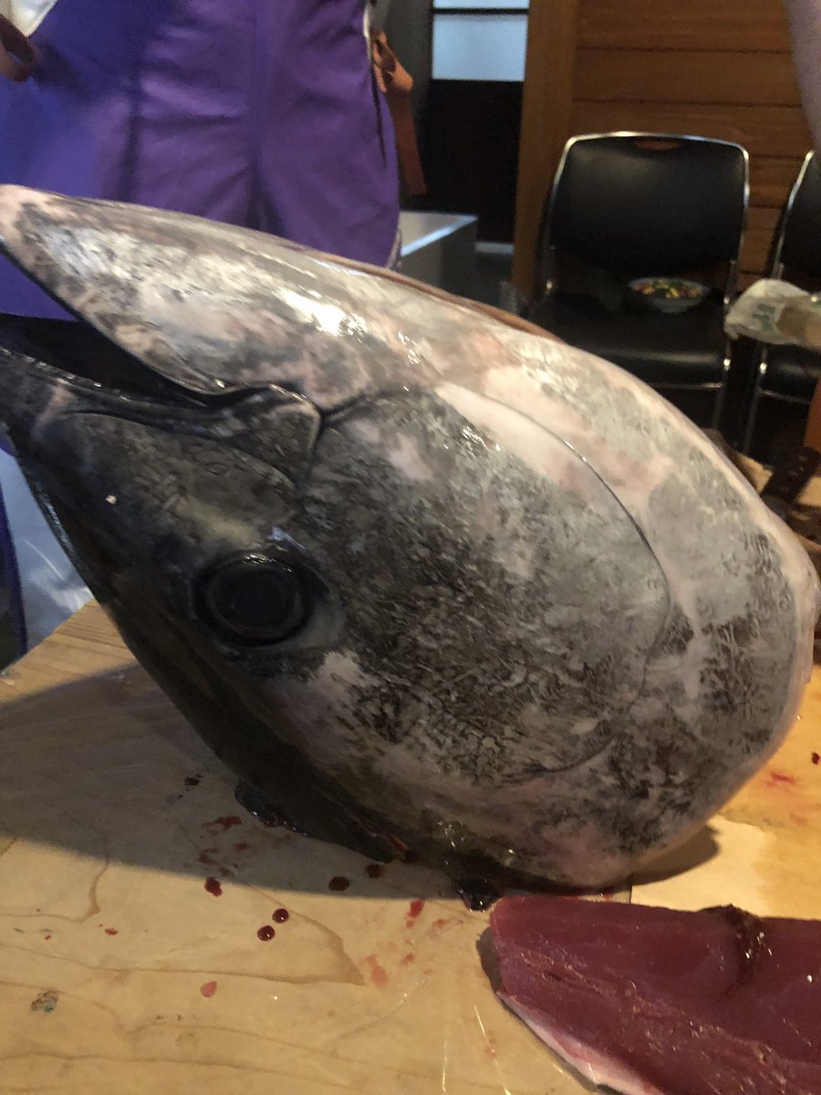 青森県の魚 Hashtag A Twitteren