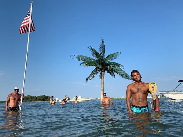 TySimpsonKane tweet media