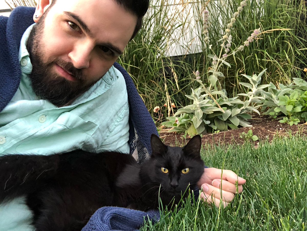 adamtotscomix's tweet photo. This stray cat was so aggressively friendly and I am in love with it. https://t.co/I20TYhNjdw