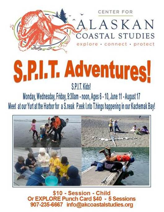 AlaskanSuites's tweet image. Lots of great activities offered around town for the kids to do in the summer......