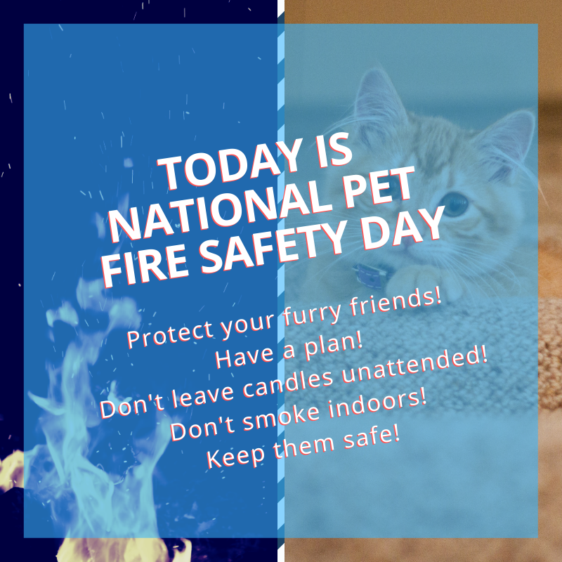 CharlestonTowne's tweet photo. Keep your furry friends safe on this #NationalPetFireSafetyDay! Have a plan in case of a fire-related emergency! Never leave a lit candle unattended! Don't smoke indoors!

#MatchboxCares #MatchboxLovesPets https://t.co/GIvPJNUko4