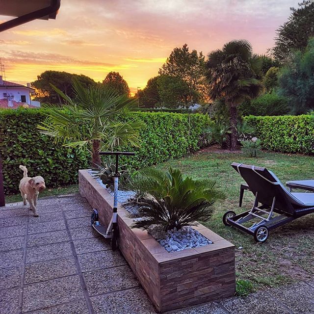 gerald_karner's tweet photo. Guten Morgen | Good Morning
#gutenmorgen #goodmorning #sonnenaufgang #sunrise #italien #italy #dunaverde #adria #holiday #amazing #awesome #beautiful #early #früh #laufen #running #hund #dog #lagotto #romagnolo #italienischer #wasserhund https://t.co/xrXN9wVqCB