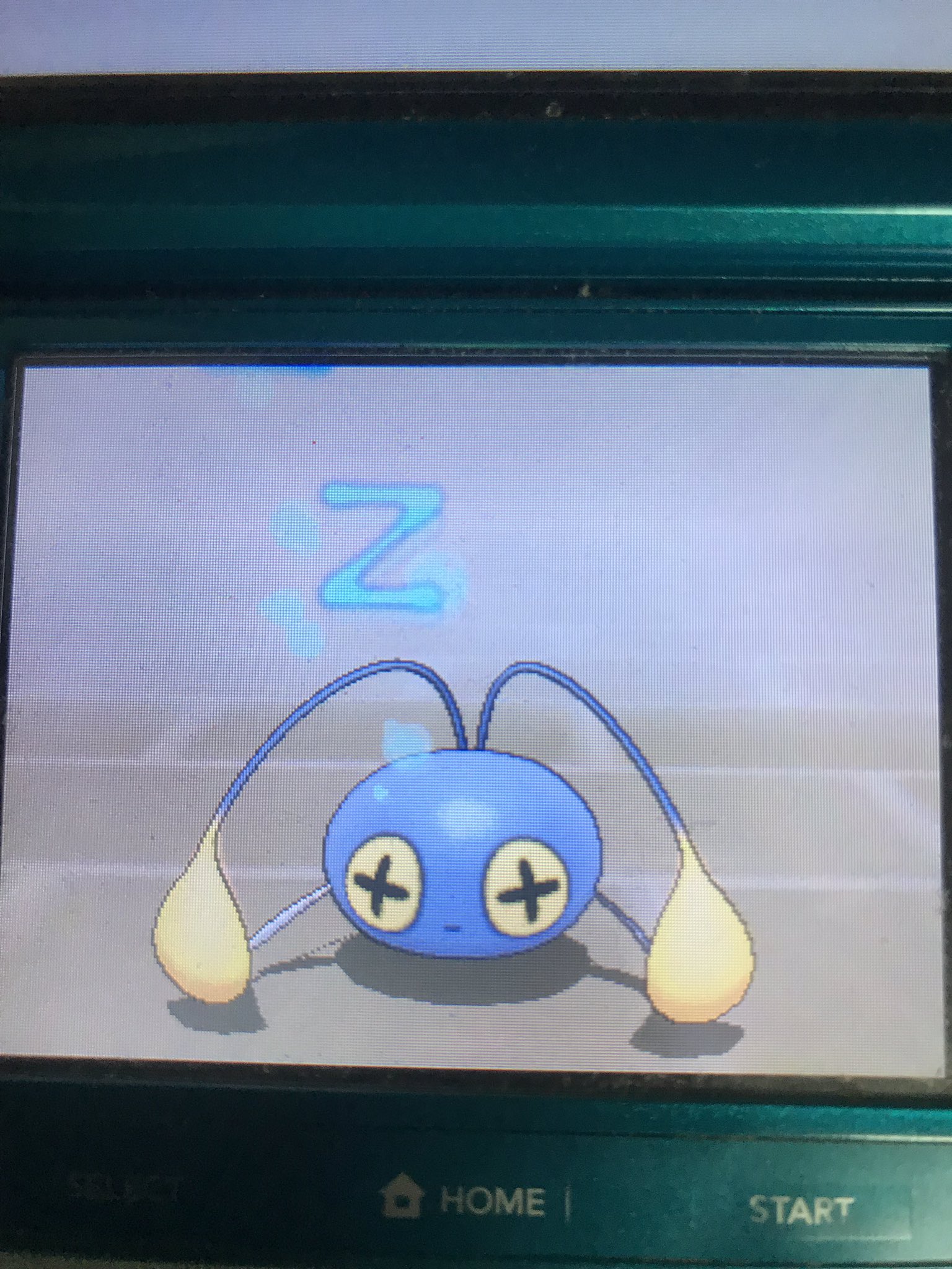 コウジュ ポケモンxyで初めてチョンチーを眠り状態にした時の違和感の正体がやっとわかった ポケスタ金銀だと目がマイナスになるのにxy以降はプラスのままだからだ 個人的にはポケスタ金銀の頃の方が可愛いから戻してほしいなあ T Co Neqjajrmuq