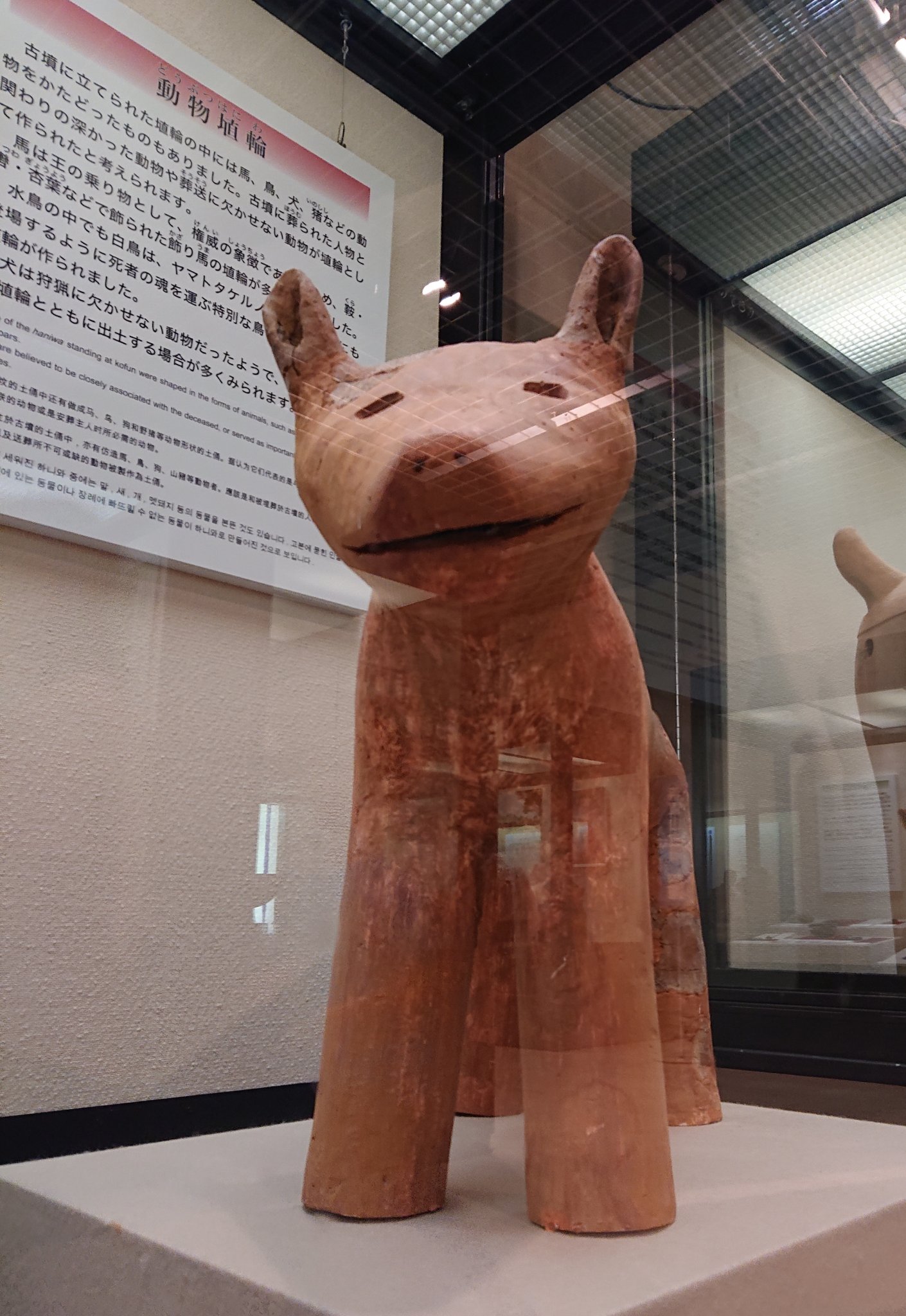 コロン 犬型はにわ可愛い イヌはローアングルがかわいいね はにわ さきたま古墳 T Co Zxcmomkrwd Twitter