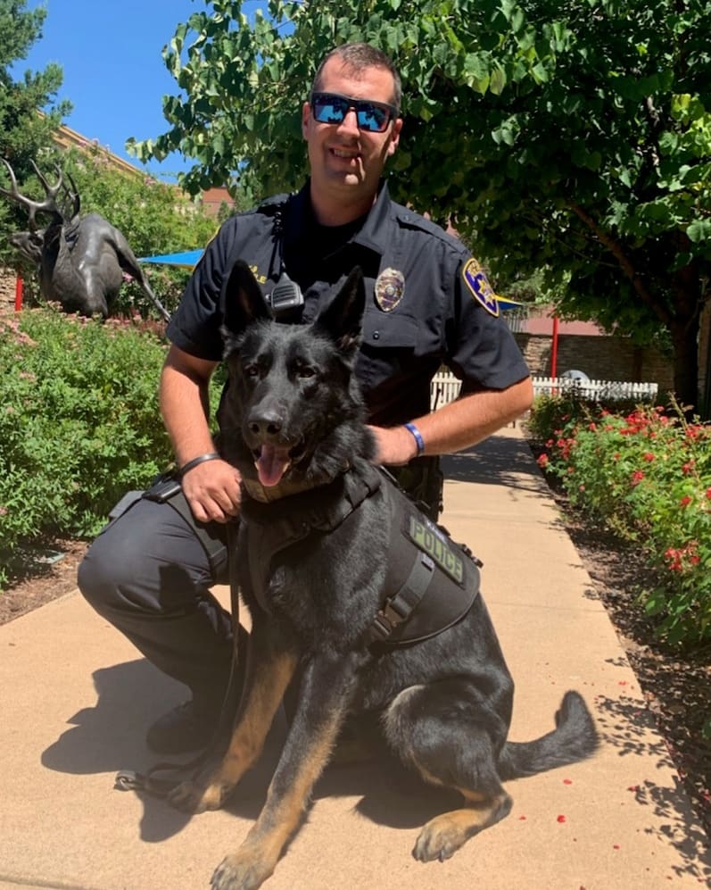 GaltPolice's tweet photo. THANK YOU Cover Your K-9 + Foothills K-9 Association for the donation of K-9 Kane's brand new ballistic vest. Cover Your K-9 also provided a medical class &amp; first-aid medical kit for K-9 Kane!

[Photo Cred: Julie Baldwin • Foothills K9]

#FoothillsK9 #CoverYourK9 https://t.co/vm0x4RIphv
