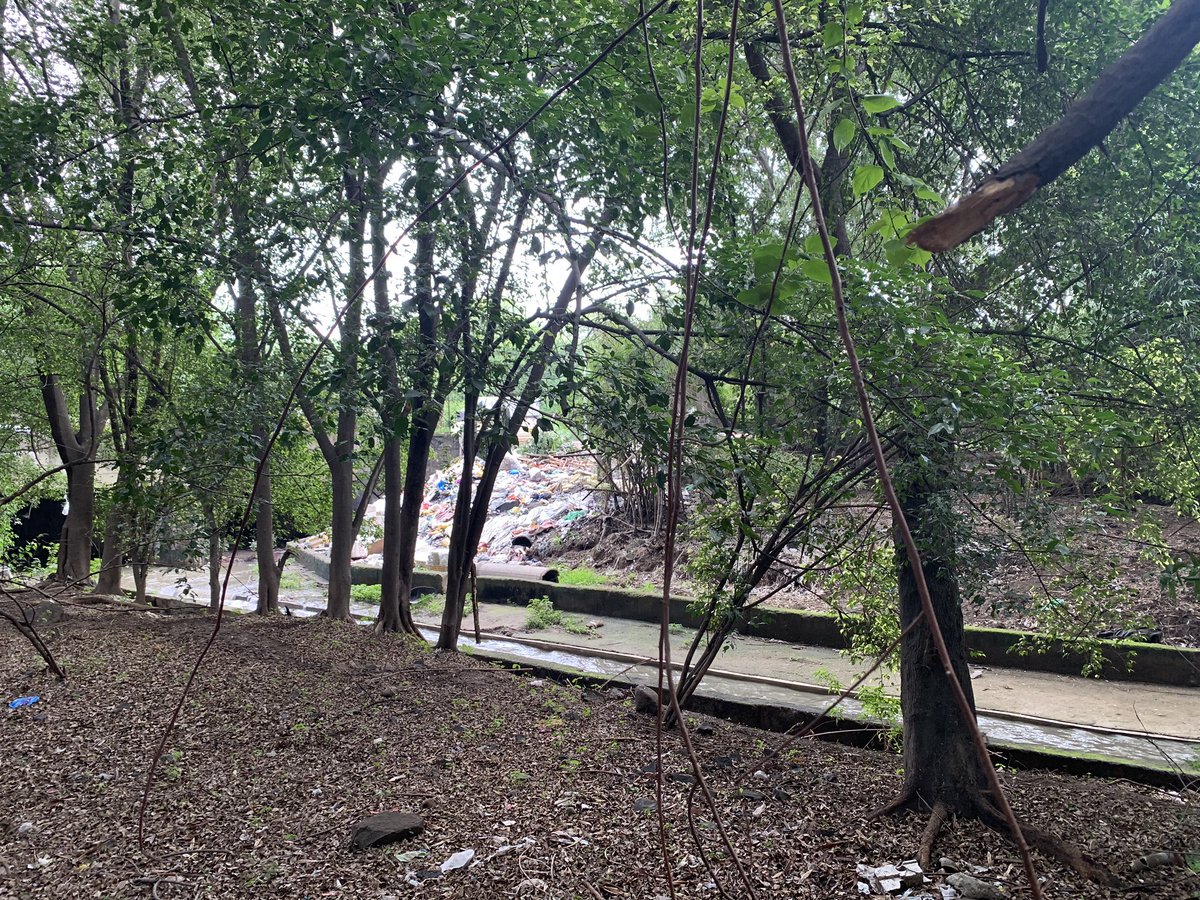rjsmita's tweet image. This this a nala park or a dumping ground? Area: NIBM Road, opp MSEB Office @PMCPune @KunalKumarPMC request an official to look into this. The garbage is stinking and making it unhygienic for residents. #cleanpune #nalaparkcleaning #garbagepatch