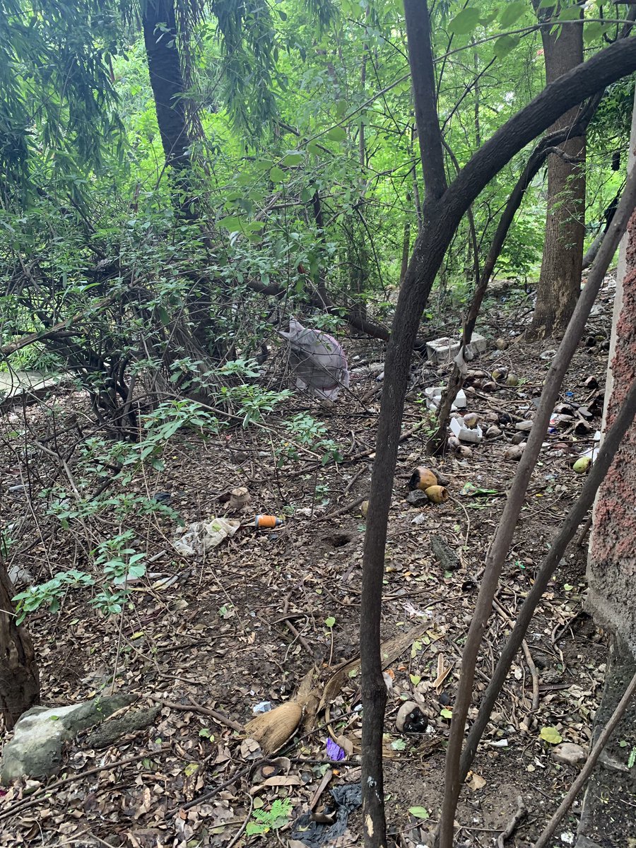 rjsmita's tweet image. This this a nala park or a dumping ground? Area: NIBM Road, opp MSEB Office @PMCPune @KunalKumarPMC request an official to look into this. The garbage is stinking and making it unhygienic for residents. #cleanpune #nalaparkcleaning #garbagepatch