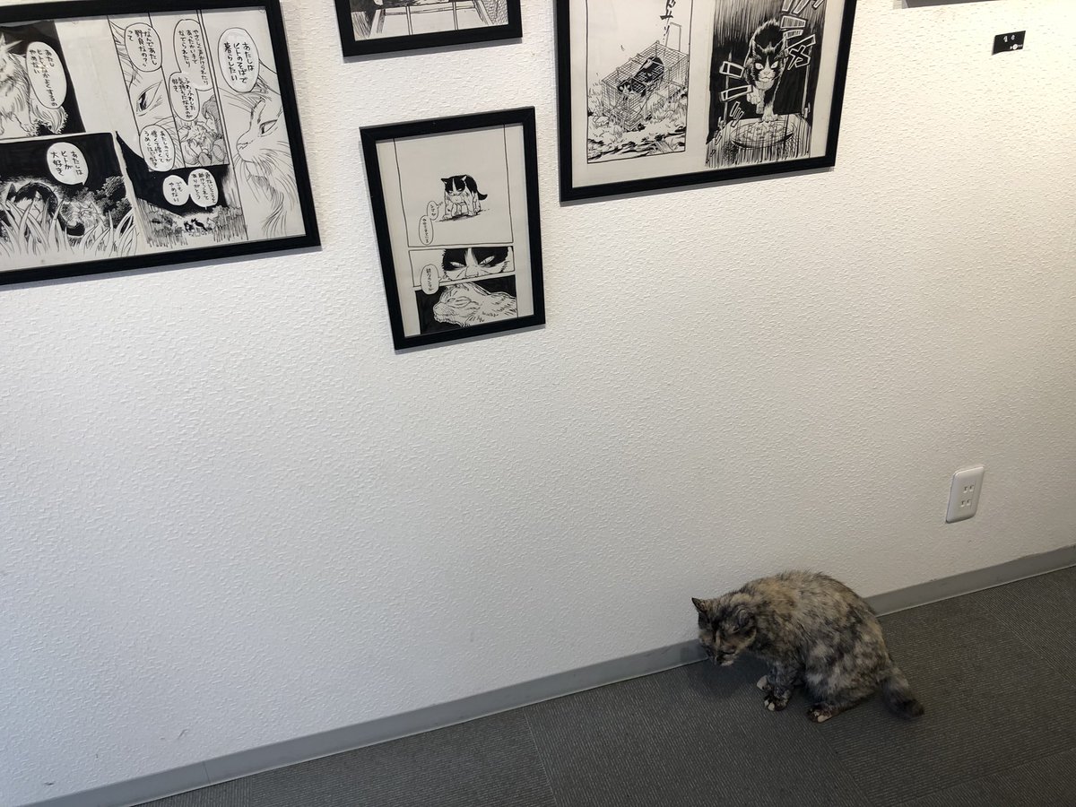 高円寺ギャラリー来舎で開催中のイシデ電さんの個展に行ってきました。「私という猫」の原画がたっぷり見れて眼福。イシデさんご本人と看板猫が在廊されています。最終日の今日は17:00までとのことなので、まだの方はお急ぎください! 