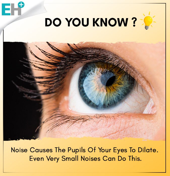 EverythingHeal1's tweet photo. #doyouknow #noise #causes #pupils #eyes #dilate https://t.co/0cuGfhVJeH
