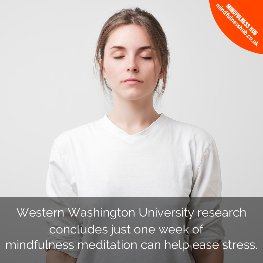 Mindfulness_Hub's tweet photo. New research finds that practicing mindfulness is linked to better coping flexibility and decreased stress levels. Start with 10 minutes a day! #mindfulnessresearch #benefitsofmindfulness #mentalhealth #meditation #stressreduction #mindfulliving #mbsr #mindfulness #stressfree https://t.co/BnWW2eTmcz